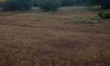 Parcela en Venta en Fundo en Nilahue Alto