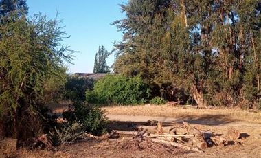 Parcela en Venta en Fundo en Nilahue Alto