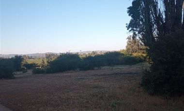 Parcela en Venta en Fundo en Nilahue Alto