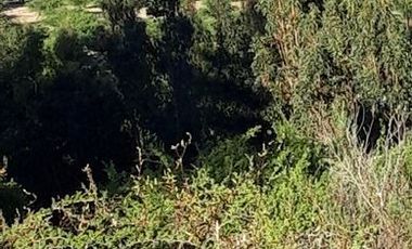 Parcela en Venta en Fundo en Nilahue Alto