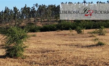 Parcela en Venta en Fundo en Nilahue Alto