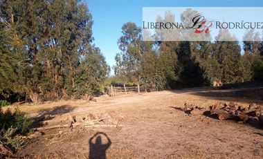Parcela en Venta en Fundo en Nilahue Alto