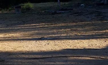 Parcela en Venta en Fundo en Nilahue Alto