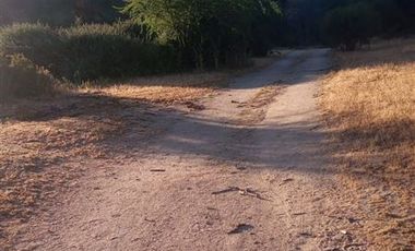 Parcela en Venta en Fundo en Nilahue Alto