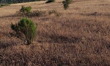 Parcela en Venta en Fundo en Nilahue Alto