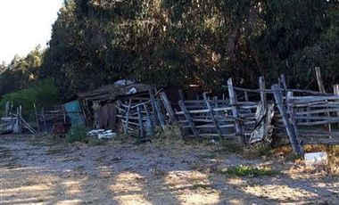 Parcela en Venta en Fundo en Nilahue Alto
