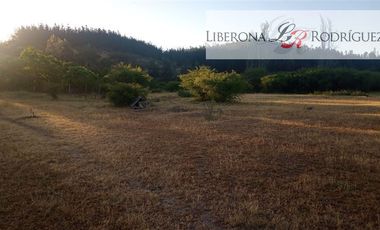Parcela en Venta en Fundo en Nilahue Alto