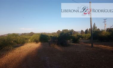 Parcela en Venta en Fundo en Nilahue Alto