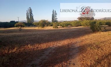 Parcela en Venta en Fundo en Nilahue Alto