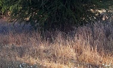 Parcela en Venta en Fundo en Nilahue Alto