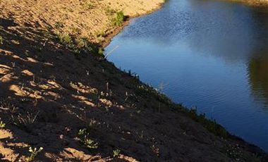 Parcela en Venta en Fundo en Nilahue Alto