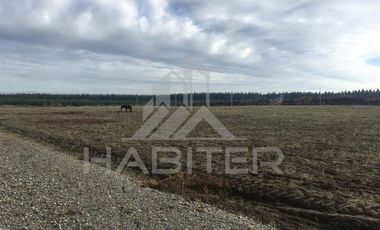 Sitio en Venta en Sector Los Tilos