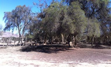 Parcela en Venta en Parcelacion La Macarena, Piedra Colgada.