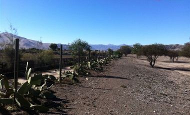 Parcela en Venta en Parcelacion La Macarena, Piedra Colgada.