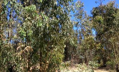 Parcela en Venta en Lo Hidalgo