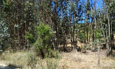 Parcela en Venta en Lo Hidalgo