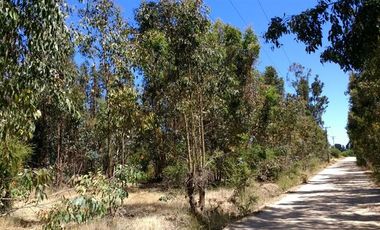 Parcela en Venta en Lo Hidalgo