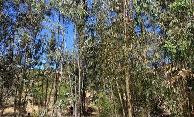 Parcela en Venta en Lo Hidalgo