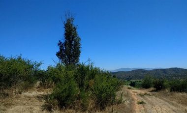 Parcela en Venta en Lo Hidalgo