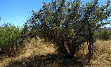 Parcela en Venta en Lo Hidalgo