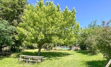 Sitio en Venta en Patagual