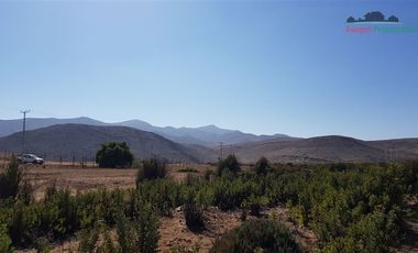 Parcela en Venta en Parcela camino a Totoral