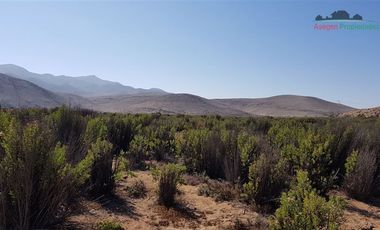Parcela en Venta en Parcela camino a Totoral