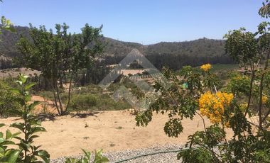 Parcela en Venta en Condominio Reserva Puro Caballo