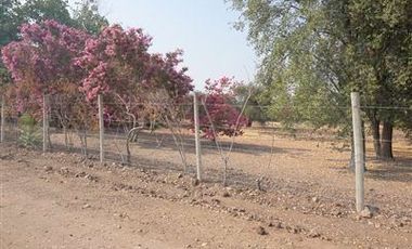 Sitio en Venta en Camino Polpaico / El Tranque