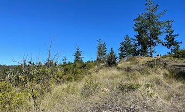 Sitio en Venta en PANORAMICA vista en terreno ubicado en Matanza, Navidad.