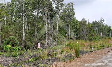 Parcela en Venta en Ruta V605