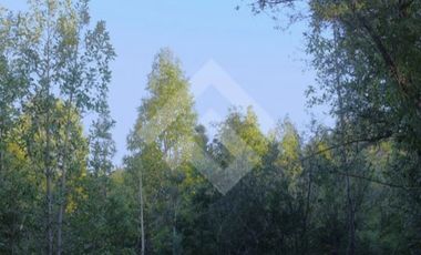 Parcela en Venta en Parcelacion Altos de Lenca