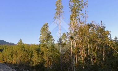 Parcela en Venta en Parcelacion Altos de Lenca