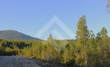 Parcela en Venta en Parcelacion Altos de Lenca