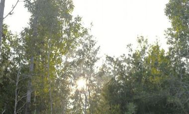 Parcela en Venta en Parcelacion Altos de Lenca