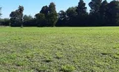 Agrícola en Venta en Negrete