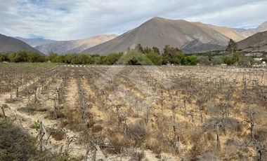 Parcela en Venta en Encanto de Elqui