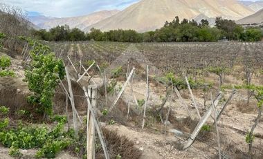 Parcela en Venta en Encanto de Elqui