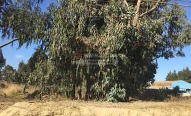 Terreno Construccion  en Arriendo en Reñaca Alto
