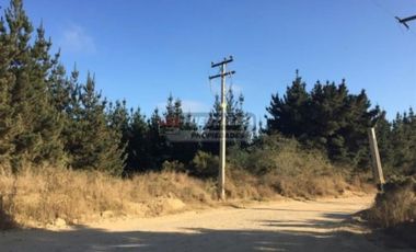 Terreno Construccion  en Arriendo en Reñaca Alto