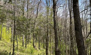 Sitio en Venta en Camino Termas de Chillán Km 47,9 – Recinto, Santa Jovita Interior, Pinto, Región de Ñuble