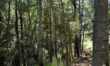 Sitio en Venta en Camino Termas de Chillán Km 47,9 – Recinto, Santa Jovita Interior, Pinto, Región de Ñuble