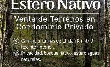 Sitio en Venta en Camino Termas de Chillán Km 47,9 – Recinto, Santa Jovita Interior, Pinto, Región de Ñuble