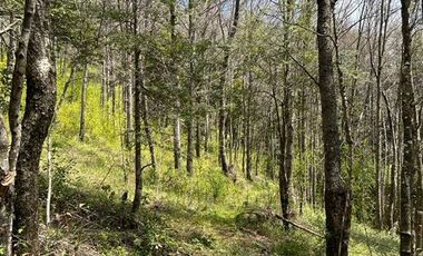 Sitio en Venta en Camino Termas de Chillán Km 47,9 – Recinto, Santa Jovita Interior, Pinto, Región de Ñuble