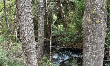 Sitio en Venta en Camino Termas de Chillán Km 47,9 – Recinto, Santa Jovita Interior, Pinto, Región de Ñuble