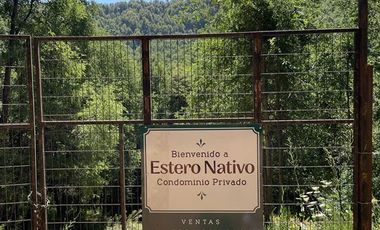 Sitio en Venta en Camino Termas de Chillán Km 47,9 – Recinto, Santa Jovita Interior, Pinto, Región de Ñuble