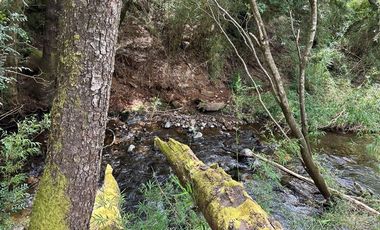 Sitio en Venta en Camino Termas de Chillán Km 47,9 – Recinto, Santa Jovita Interior, Pinto, Región de Ñuble