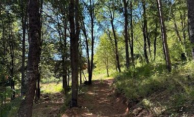 Sitio en Venta en Camino Termas de Chillán Km 47,9 – Recinto, Santa Jovita Interior, Pinto, Región de Ñuble