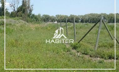 Agrícola en Venta en León Bustos 12, Linares