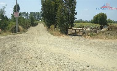 Agrícola en Venta en León Bustos 12, Linares